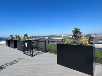 Rooftop dog park